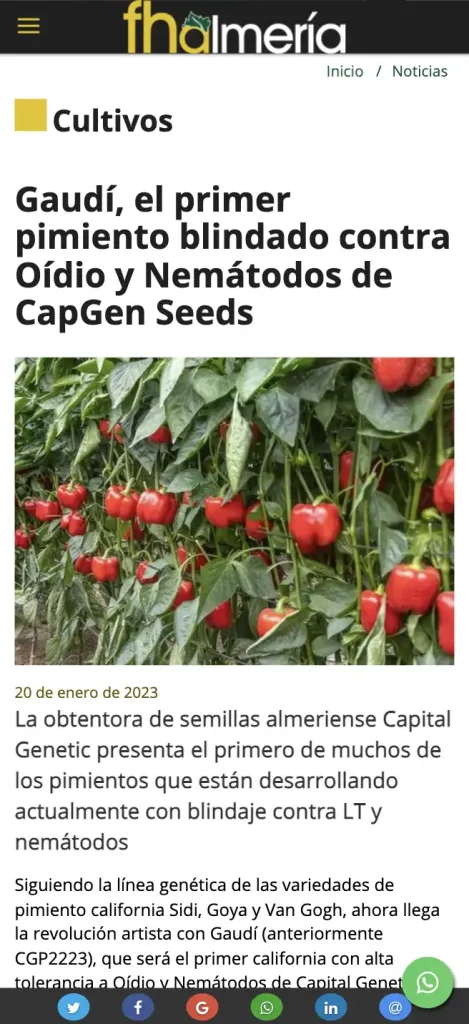 Blogs agricoles : 5 magazines du secteur à connaître CapGen Seeds Poivron california rouge de la variété Gaudí de CapGen Seeds sur la plante