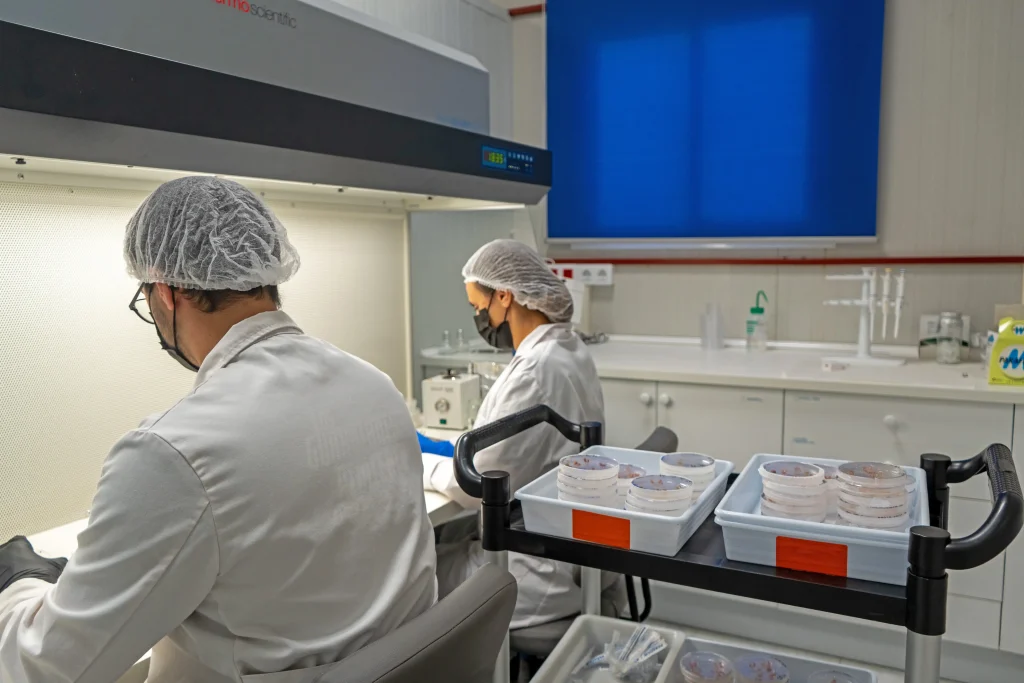 CapGen Seeds is taking a significant step forward in agricultural R&D with the opening of its new molecular biology laboratory CapGen Seeds Laboratorio CapGenSeeds 1 CapGen Seeds