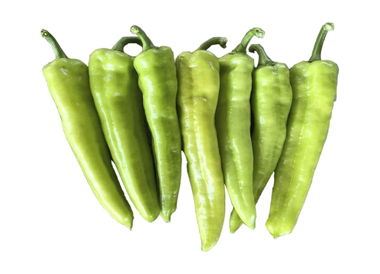 Coloso-Fruto-1024x737 copia