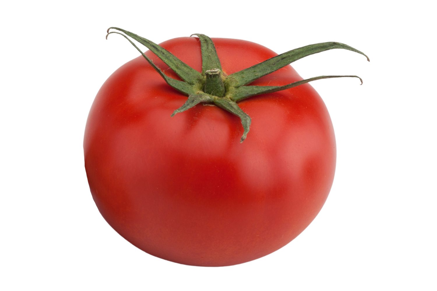 Mandela tomate suelto