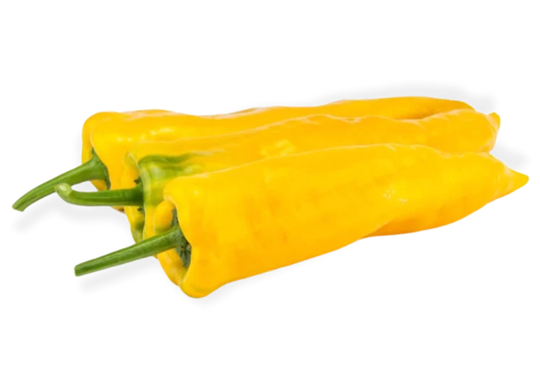 PantaniFruto-1024x737 copia