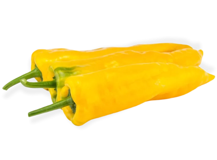 PantaniFruto-1024x737 copia