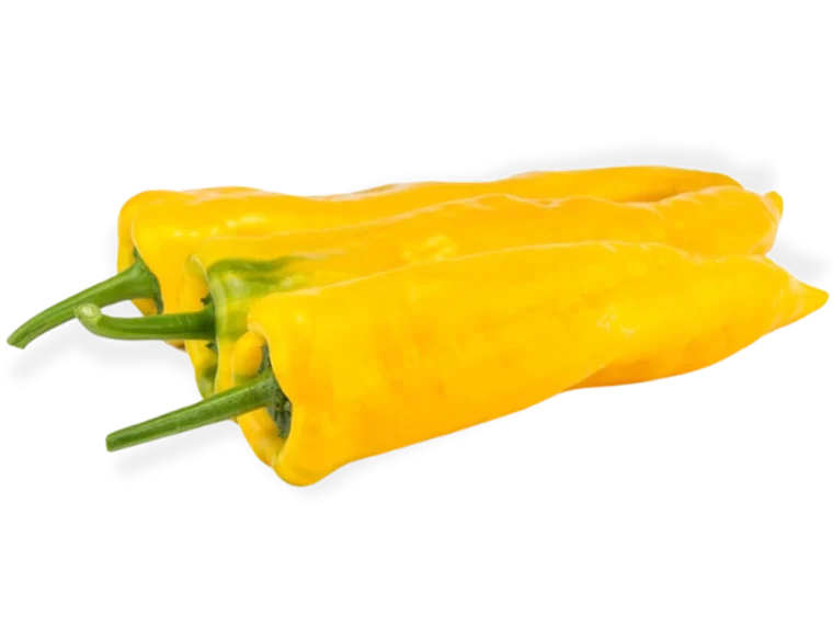 PantaniFruto-1024x737 copia