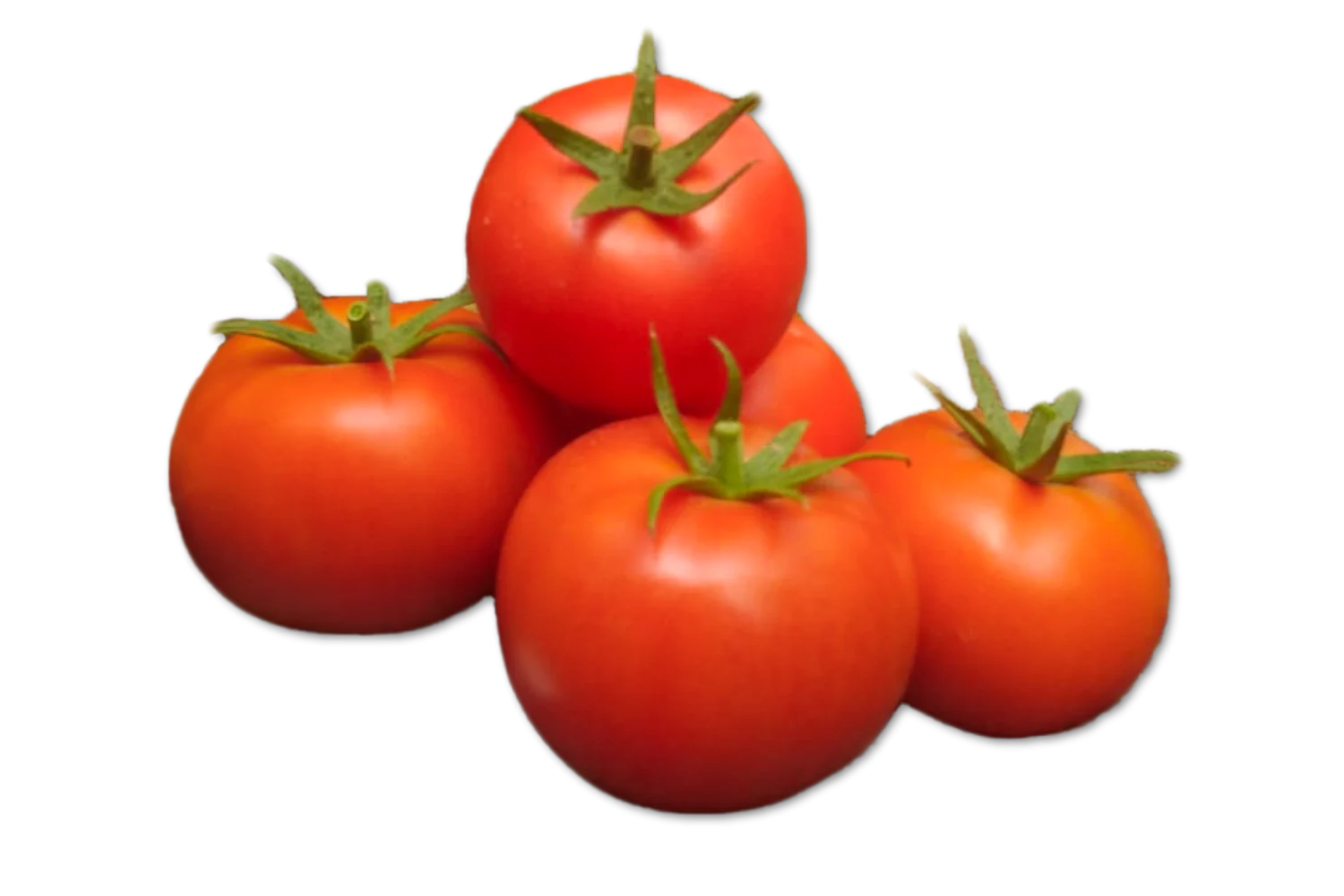 TomateSueltoDonkaCapGenSeeds